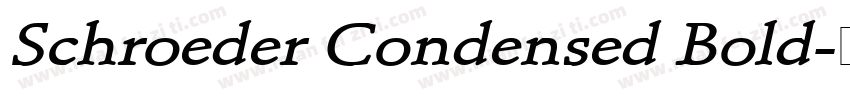 Schroeder Condensed Bold字体转换